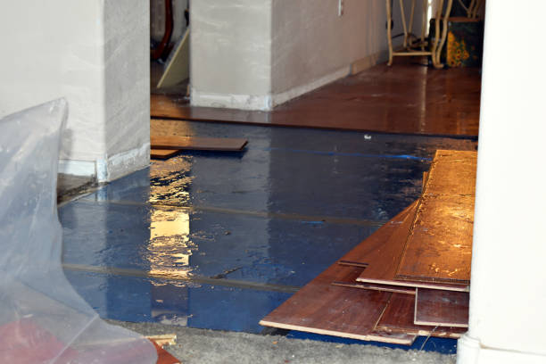 Professional Basement Water Removal technician working in Victoria, MS